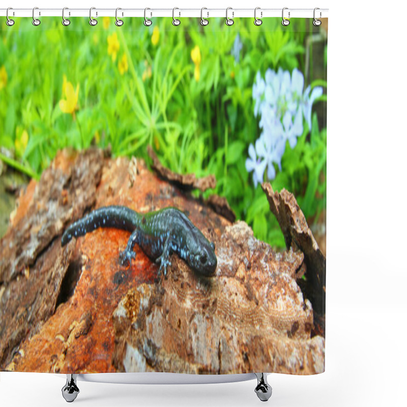 Personality  Blue-spotted Salamander (Ambystoma Laterale) Shower Curtains