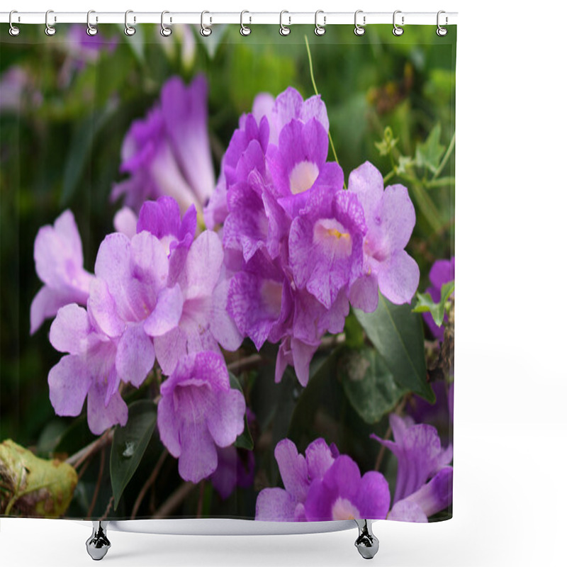 Personality  Ivy Purple Flowers Shower Curtains