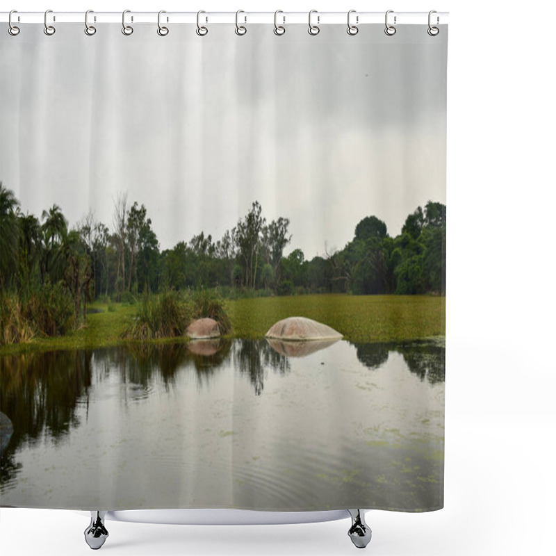 Personality  Beautiful Lake And Sky In Forest In Rainy Season Wildlife Image Shower Curtains