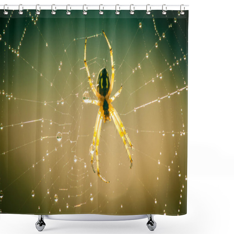 Personality  Spider With Spider Web Close Up Outdoor Shower Curtains