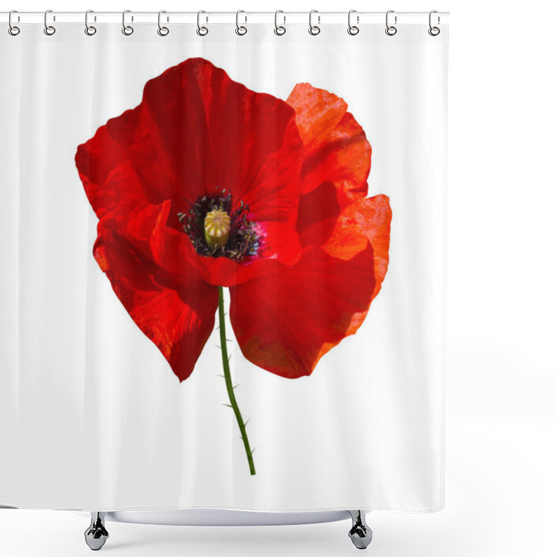 Personality  Red Poppy Isolated On White Background Shower Curtains