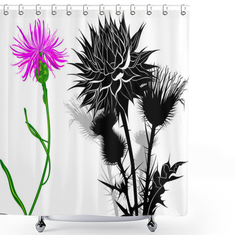 Personality  Milk Thistle Flowers Isolated On White Background Shower Curtains