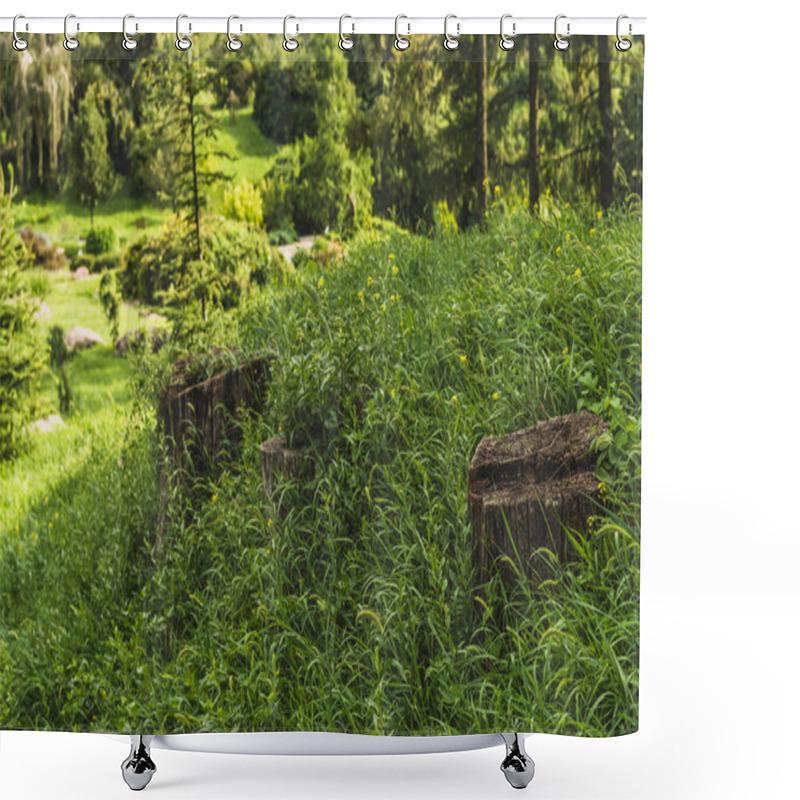 Personality  Old Stumps In Grass At Beautiful Park Shower Curtains