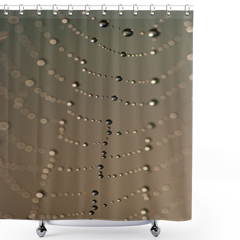 Personality  Cobweb With Dew Drops. Shower Curtains