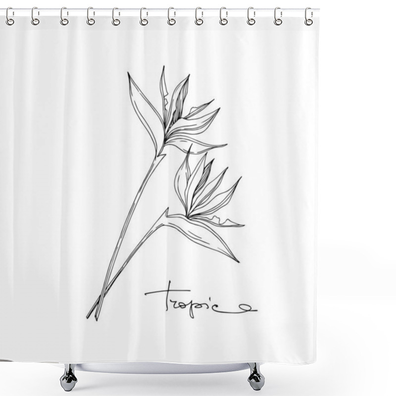 Personality  Vector Tropical Floral Botanical Flowers. Black And White Engraved Ink Art. Isolated Flower Illustration Element. Shower Curtains