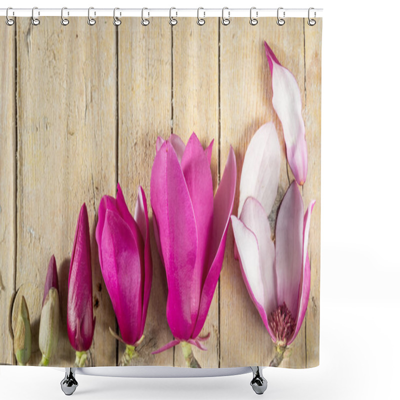 Personality  Magnolia Flowers And Buds. Decoration With Magnolia Flowers Shower Curtains