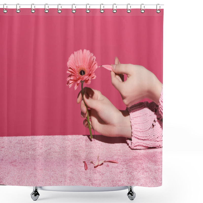 Personality  Cropped View Of Woman Picking Out Gerbera Petals On Velour Cloth Isolated On Pink, Girlish Concept  Shower Curtains