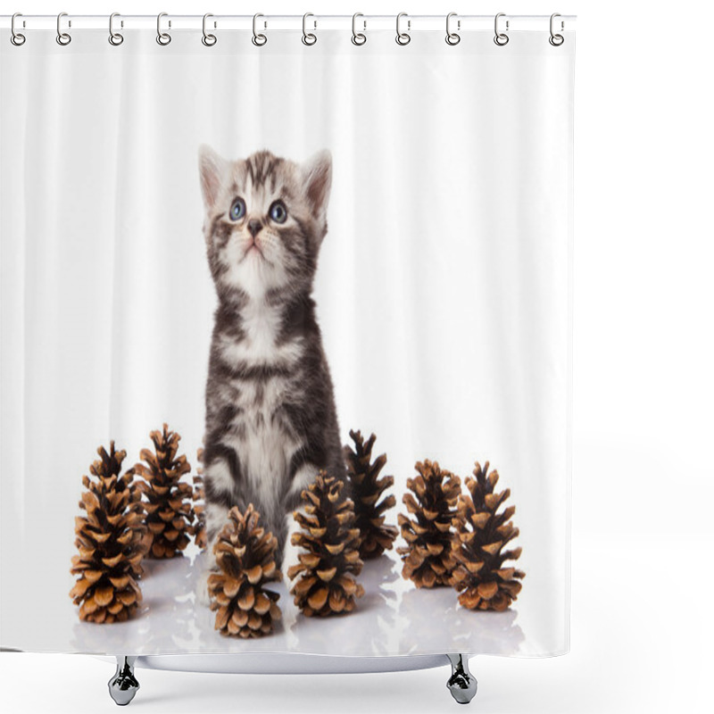 Personality  British Kitten With Pine Cones On White. Shower Curtains