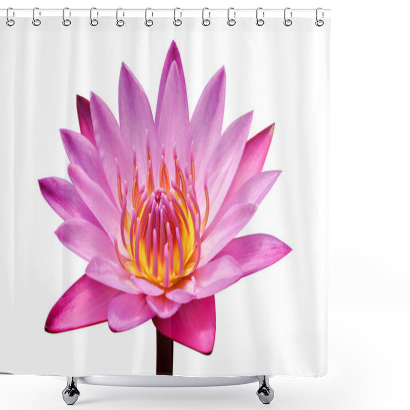 Personality  Waterlily Lotus Flowers  Shower Curtains