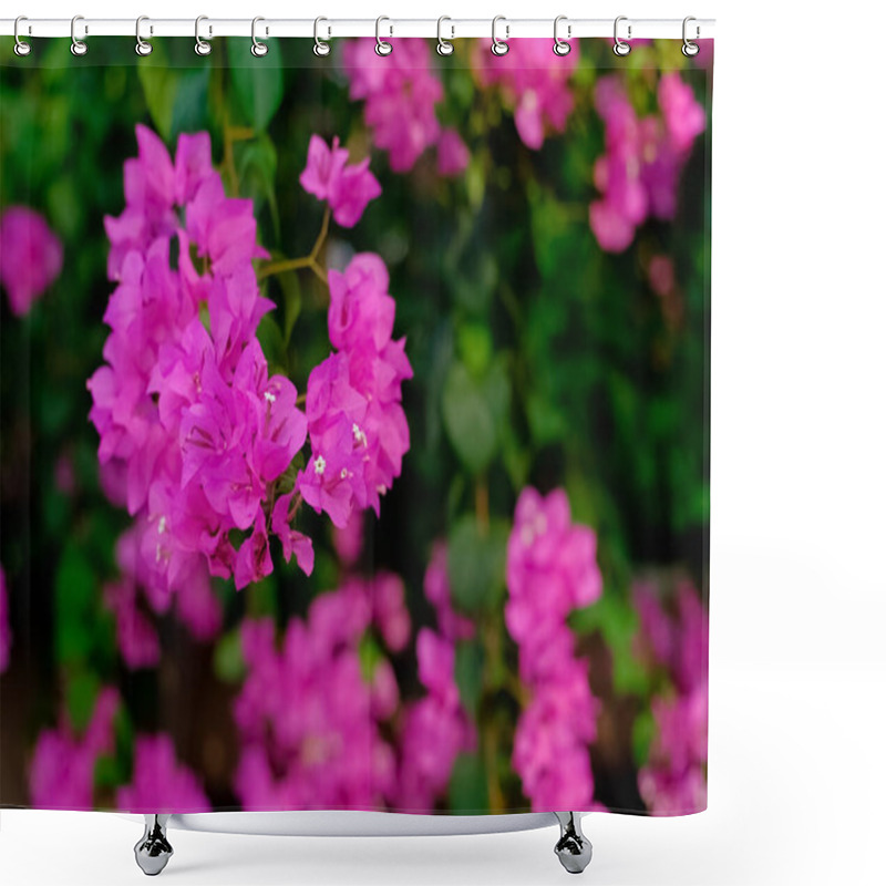 Personality  A Captivating Close-up Of Vibrant Pink Bougainvillea Flowers In Full Bloom, Surrounded By Lush Green Foliage. Perfect For Nature-inspired Themes, Floral Backgrounds, Or Garden-focused Designs Emphasizing Tropical Beauty And Vivid Colors Shower Curtains