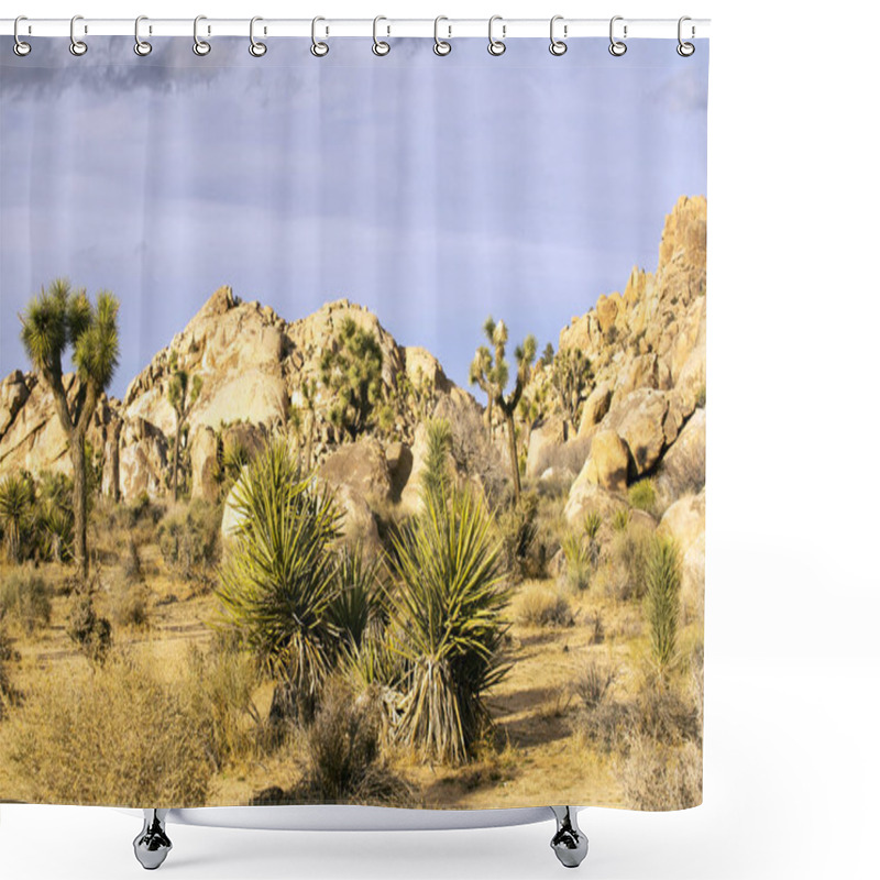 Personality  Spring Day At Joshua Tree National Park Shower Curtains