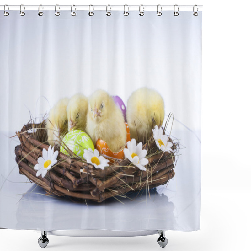 Personality  Easter, Bunny And Chicken Shower Curtains