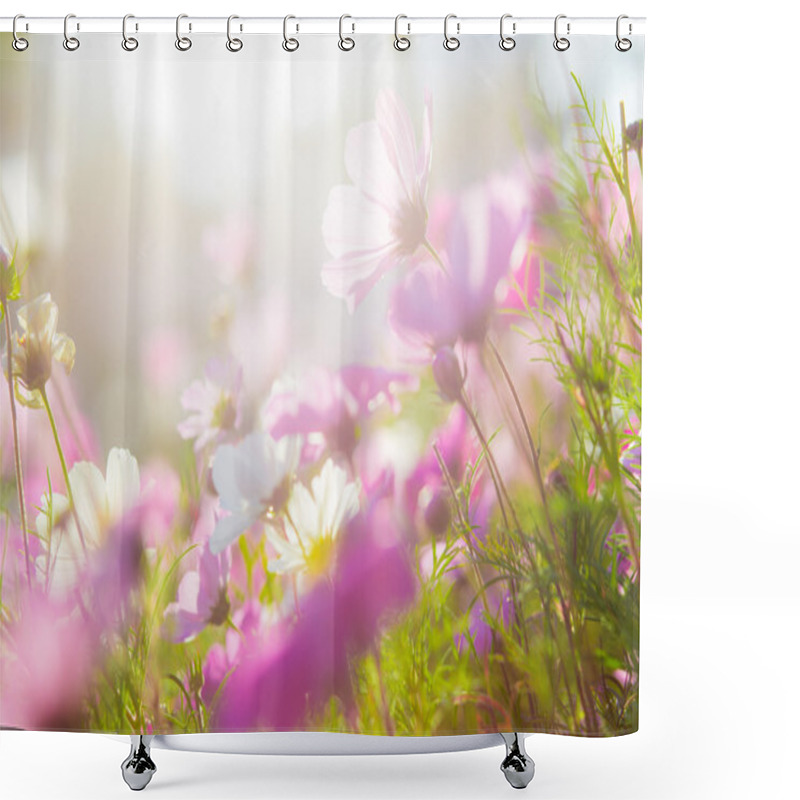 Personality  Beautiful Cosmos Flowers Shower Curtains