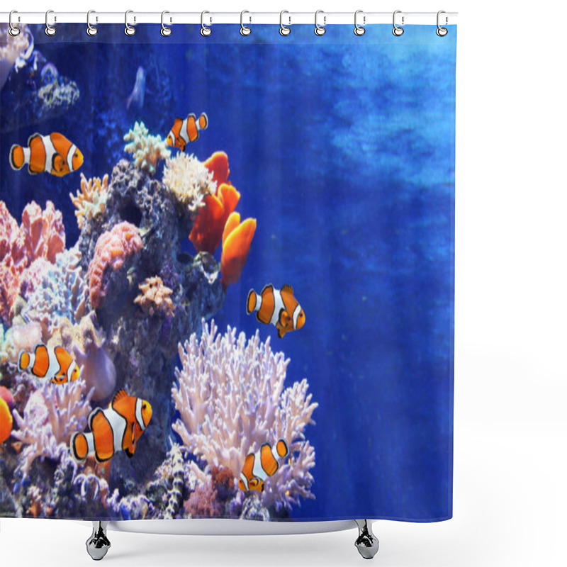 Personality  Sea Corals And Clown Fish Shower Curtains