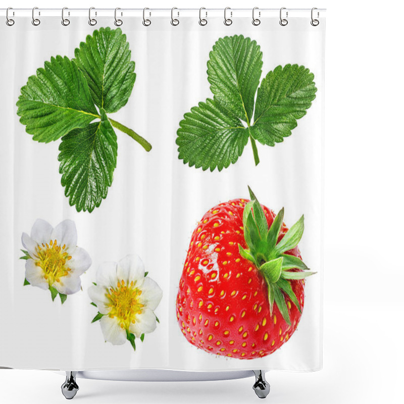 Personality  Green Leafs Of Strawberry With Flower Isolated  Shower Curtains