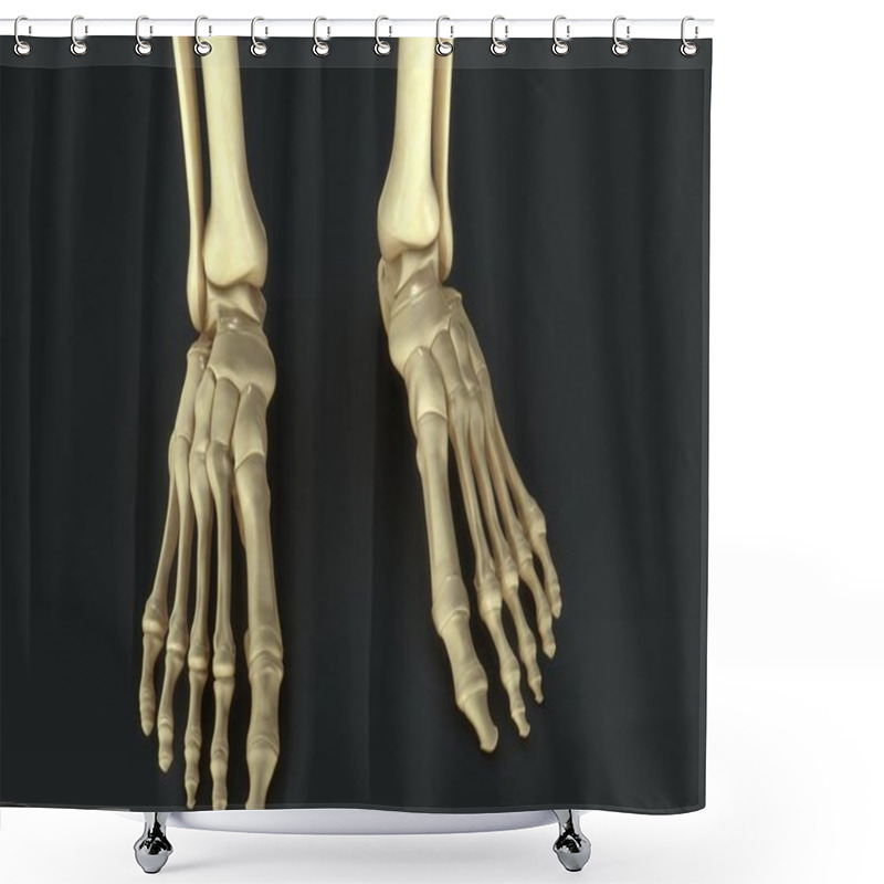 Personality   Synovial Joints Close Up  Shower Curtains