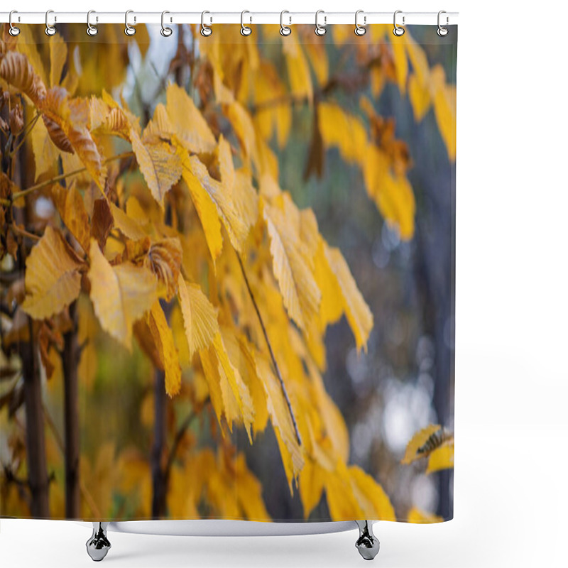 Personality  A Close-up Of Golden-yellow Autumn Leaves, Their Edges Tinged With A Touch Of Brown, Crisply Standing Out Against A Softly Blurred Forest Background On Woodland Shower Curtains