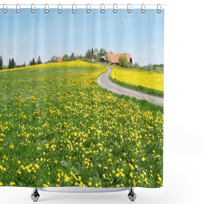 Personality  Scenic Meadow In Emmental Region, Switzerland Shower Curtains