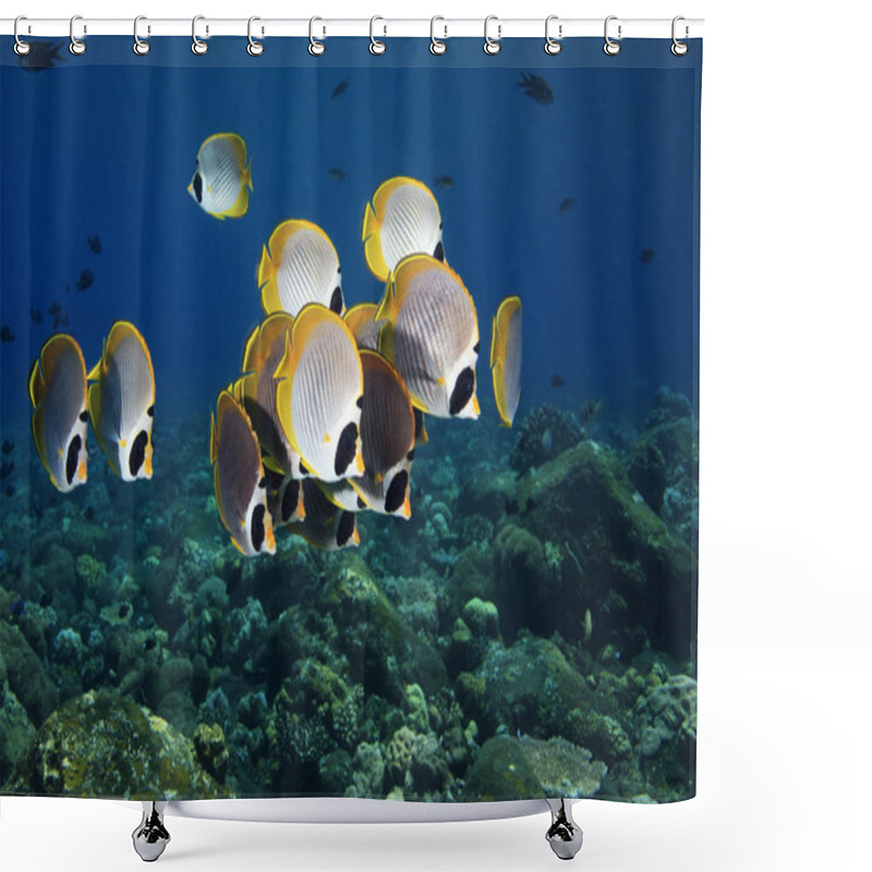 Personality  Butterflyfish Shower Curtains