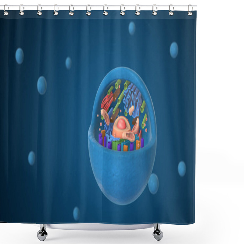 Personality  Biological Animal Cell With Organelles Shower Curtains