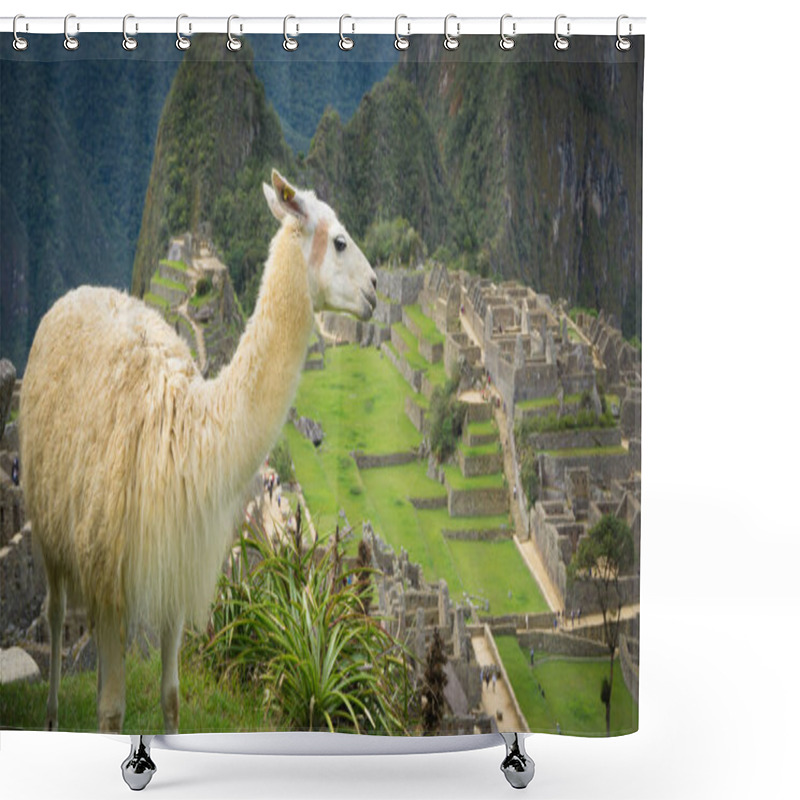 Personality  Llama In The City Of Machu Picchu Shower Curtains