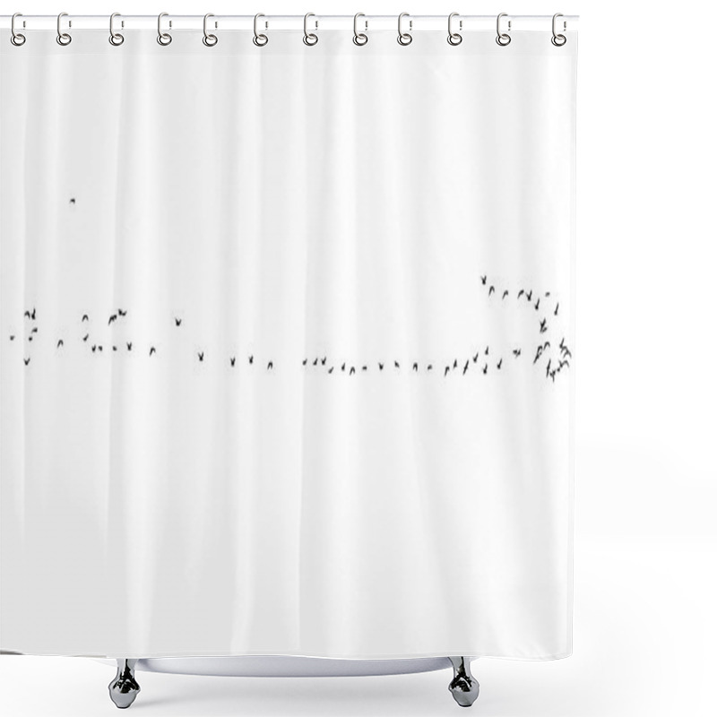 Personality  Flock Of Birds On A White Background Shower Curtains