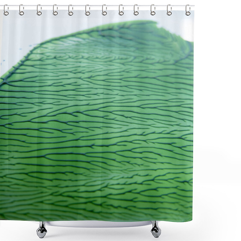 Personality  Green Paint Dried Interesting , Intricate Patterns Shower Curtains