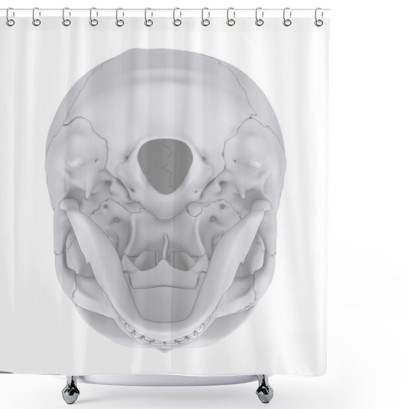 Personality  Human Skull Bones Anatomy Shower Curtains