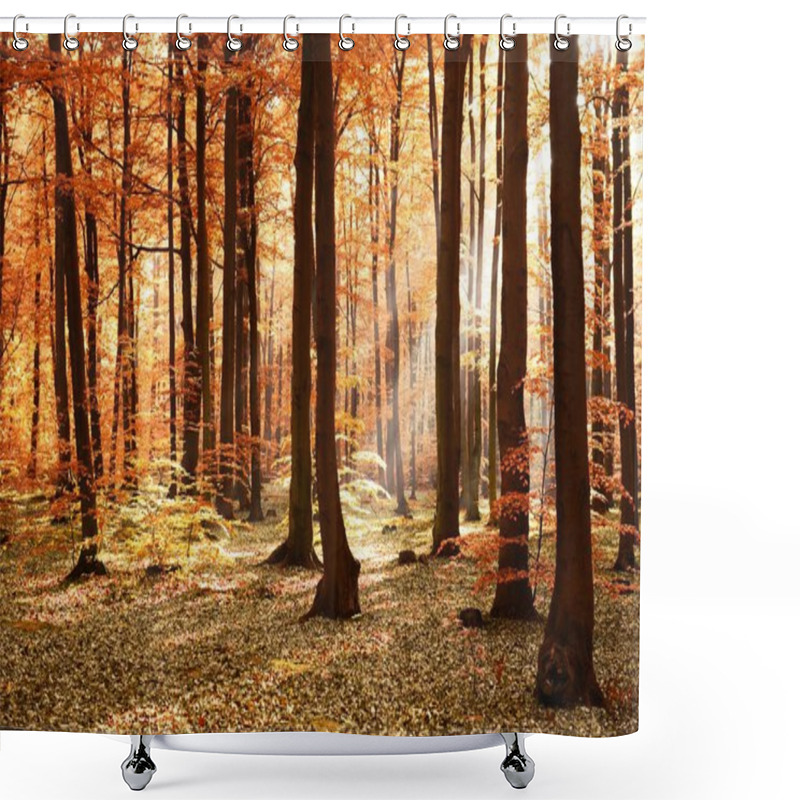 Personality  Beautiful Sunshine In Autumnal Forest In Morning  Shower Curtains