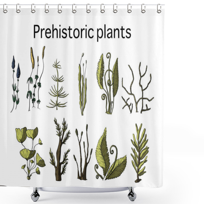 Personality  Prehistoric Vector Plants. Shower Curtains