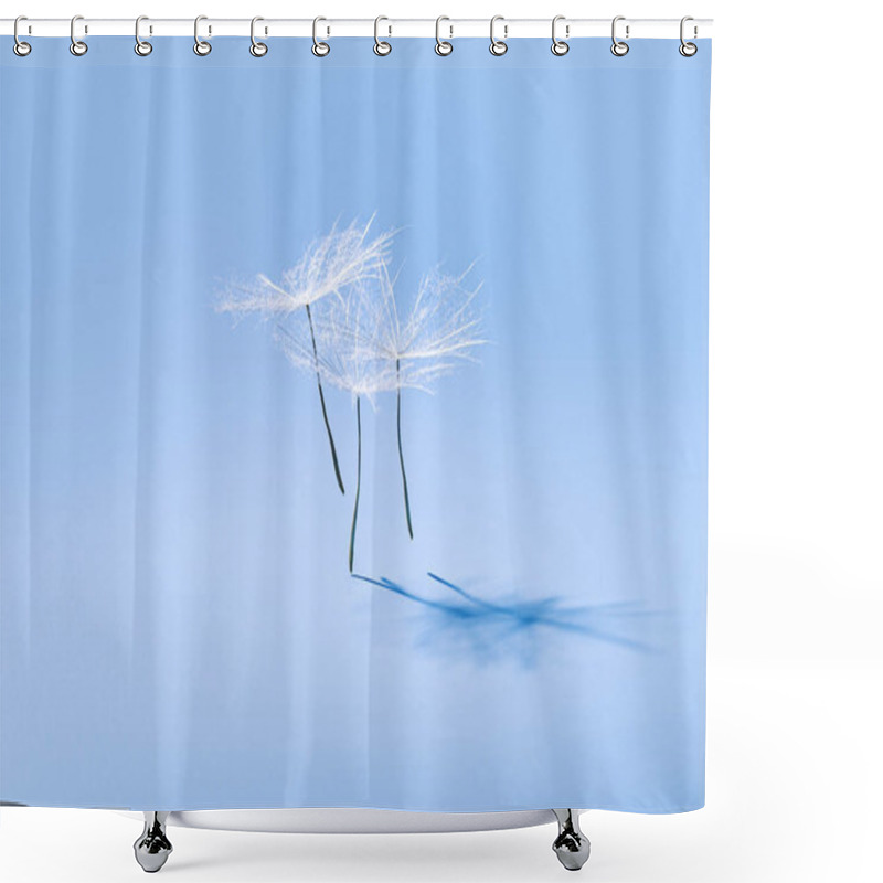 Personality  Close Up Macro White Fluffy Dandelion Seeds Heads With Detailed Lace-like Patterns, Natural Flying Or Dancing Flower On Soft Blue With Copy Space. Creative Nature Floral Composition, Minimal Style Shower Curtains