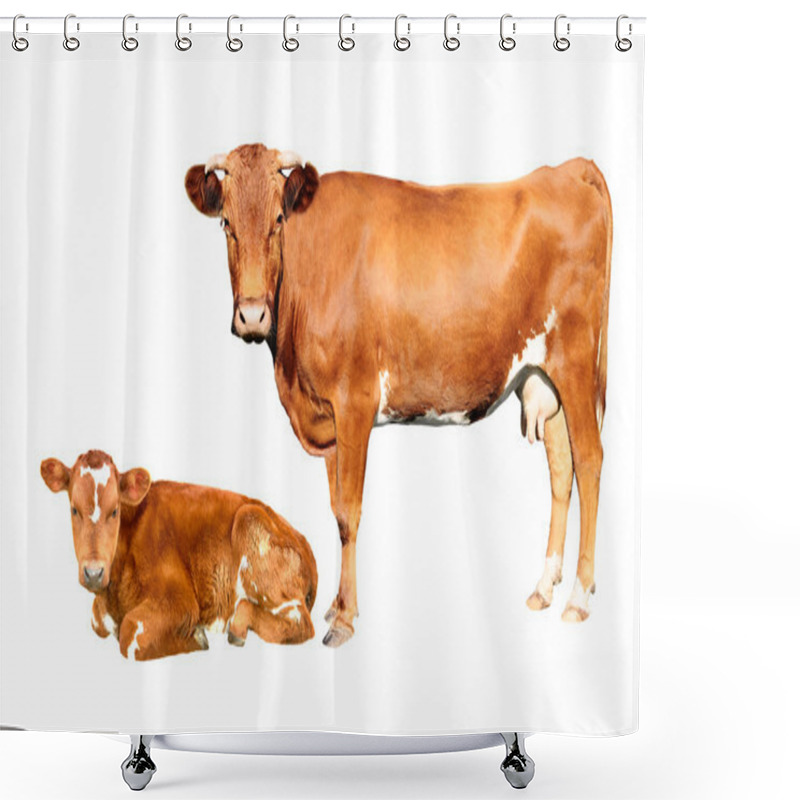 Personality  Brown Cow Shower Curtains