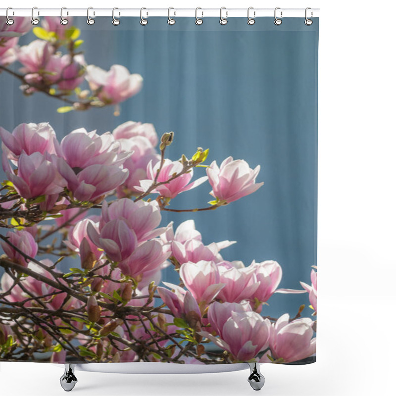 Personality  Magnolia Shower Curtains