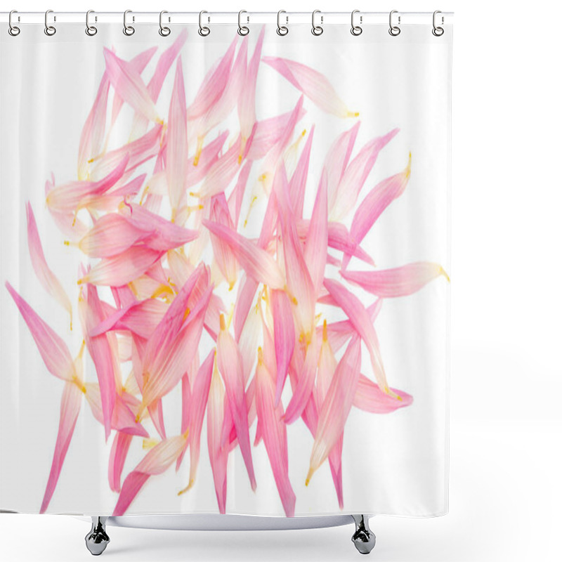 Personality  Dahlia Petals Isolated On White Background Shower Curtains