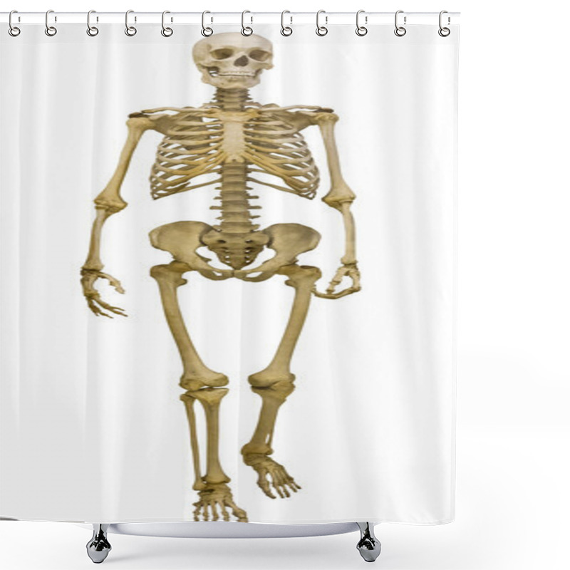 Personality  Single Human Skeleton On White Shower Curtains