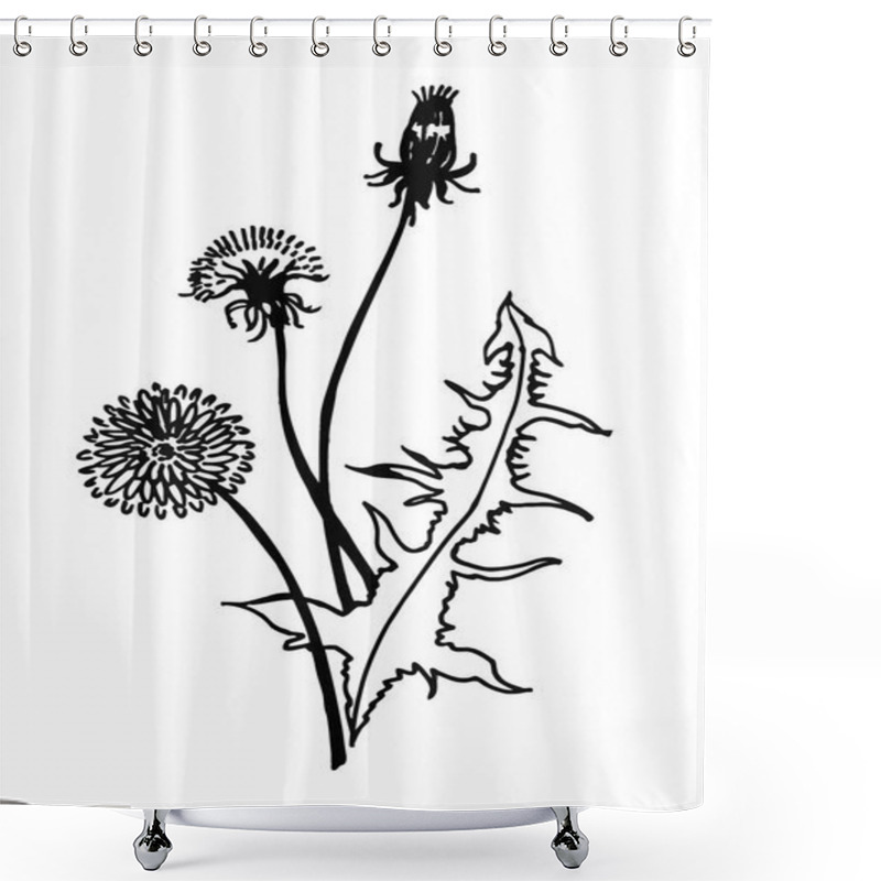 Personality  Isolated Blooming Meadow Flower Form Print Natural Outline Floral White Spring Ornament Monochrome Petal Organic Leaf Holiday Botanic Summer Graphic Blossom Drawing Black Daisies Chamomile Stem Garden Shower Curtains