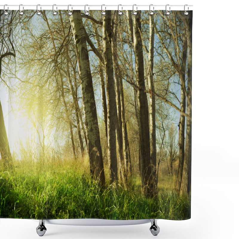 Personality  Landscape Trees Shower Curtains