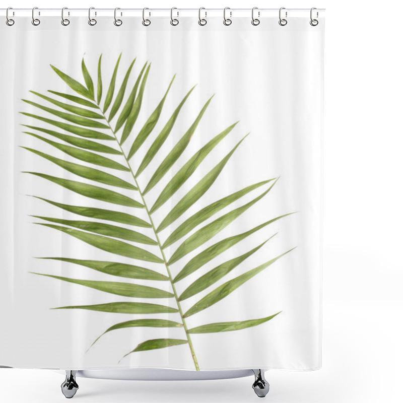 Personality  Beautiful Palm Leaf Isolated On White Shower Curtains