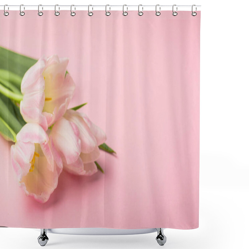 Personality  Spring Flower Pink Tulips On The Pink Background With Copyspace. Theme Of Love, Mother's Day, Women's Day Side View Shower Curtains