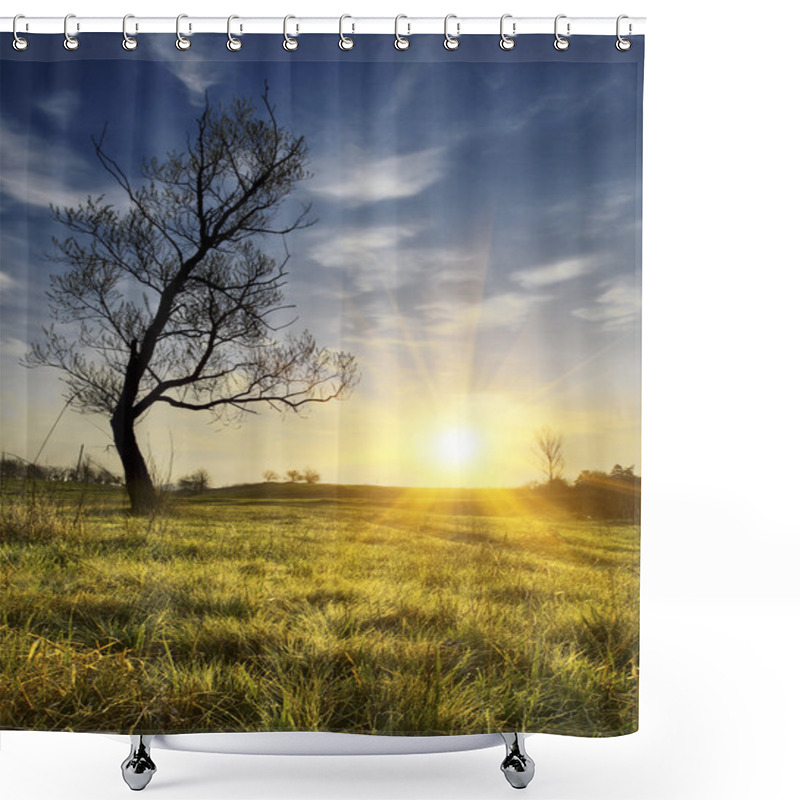 Personality  Sunny Valley With Lonely Tree Shower Curtains