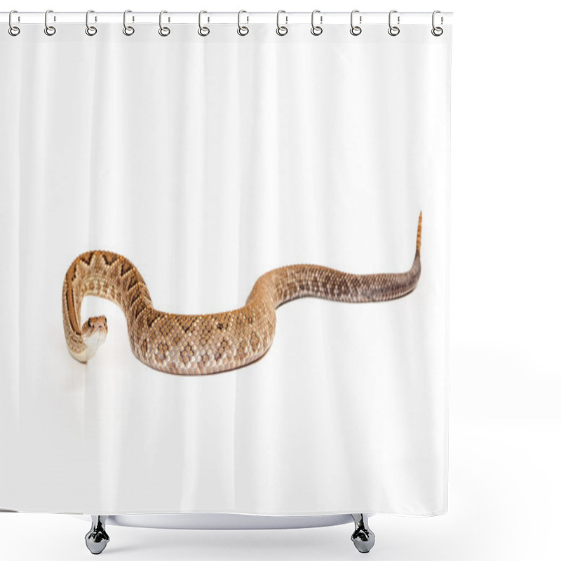 Personality  Aruba Rattlesnake With Straight Body Shower Curtains