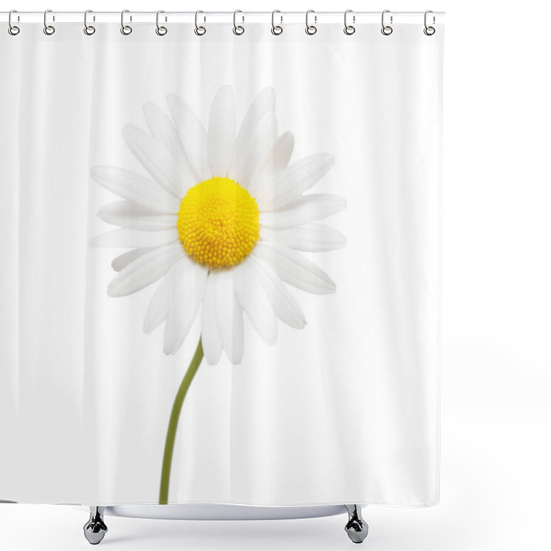 Personality  One White Daisy Flower Isolated On White Background. Flat Lay, Top View Shower Curtains