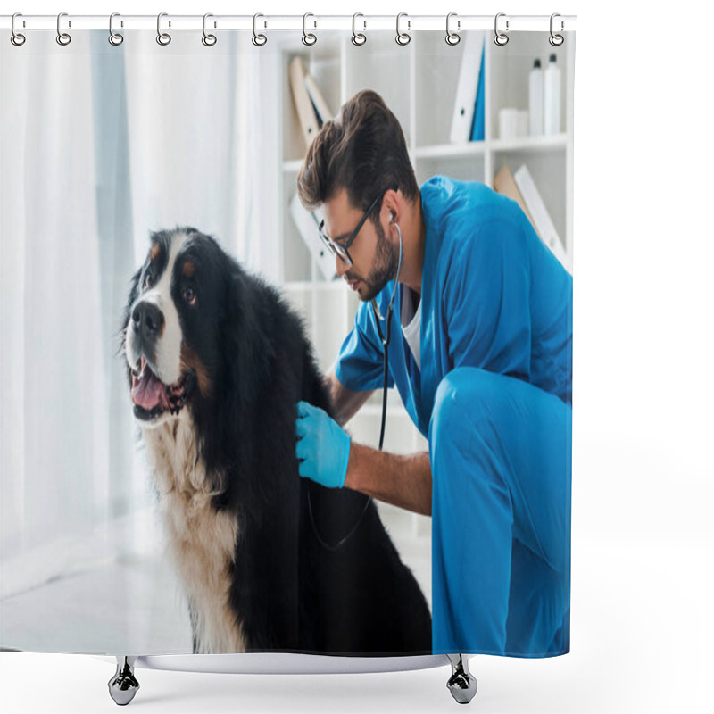 Personality  Attentive Veterinarian Examining Berner Sennenhund Dog With Stethoscope Shower Curtains