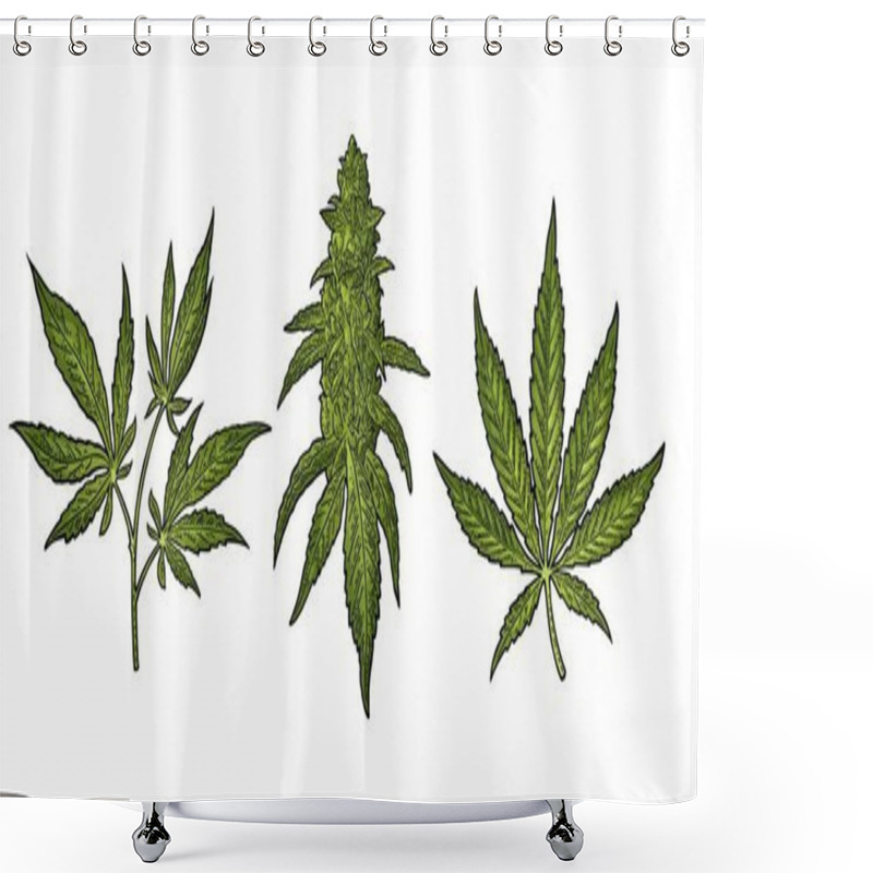 Personality  Marijuana Mature Plant With Leaves And Buds. Vector Engraving Illustration Shower Curtains