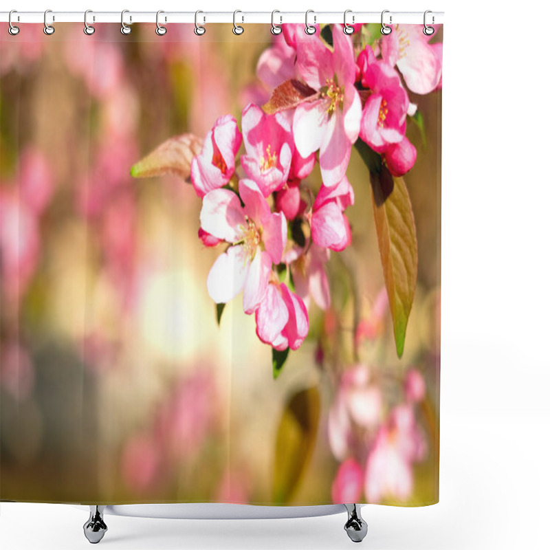 Personality  Spring Pink Blossoms  Shower Curtains