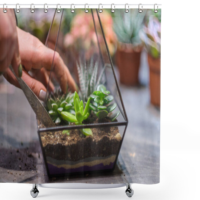 Personality  Female Holds Glass Florarium Vase With Succulent Plants Small Garden With Miniature Plants. Home Indoor Plants. DIY Florarium. Colorful Plants Growing In Glass Geometric Shower Curtains