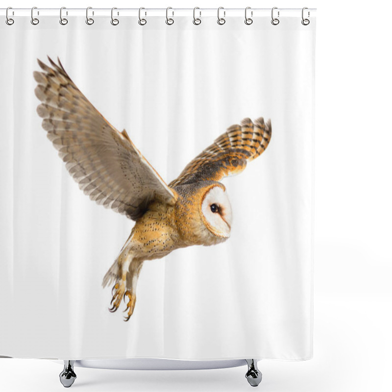 Personality  Side View Of A Barn Owl, Nocturnal Bird Of Prey, Flying Wings Spread, Tyto Alba, Isolated On Withe Shower Curtains