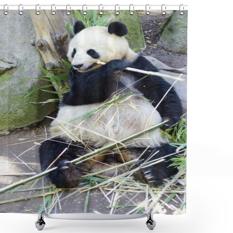 Personality  Panda Shower Curtains