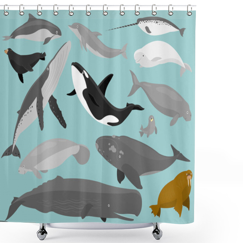 Personality  Marine Mammals Shower Curtains