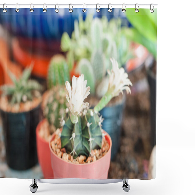 Personality  Flowering Cactus Shower Curtains